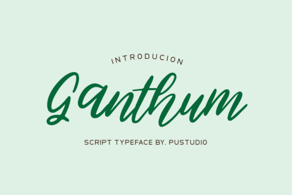 Ganthum: A Script Font for Editorial Character and Clarity