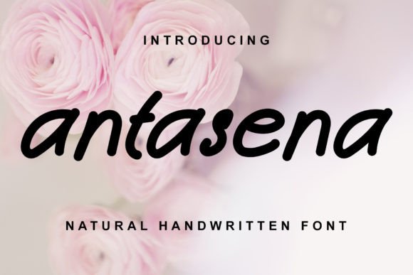 How Antasena Font Can Elevate Your Campaign Visuals