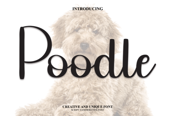 Poodle Font: A Script Typeface for Elegant Web Design