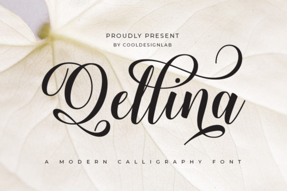Qellina: A Script Font with Modern Elegance