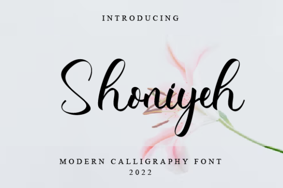 Shoniyeh: The Elegant Script Font for Modern Marketers