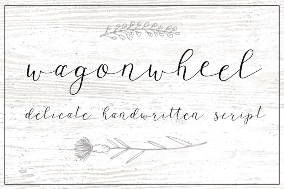 Wagonwheel: A Font That Captures a Gentle Brand Spirit